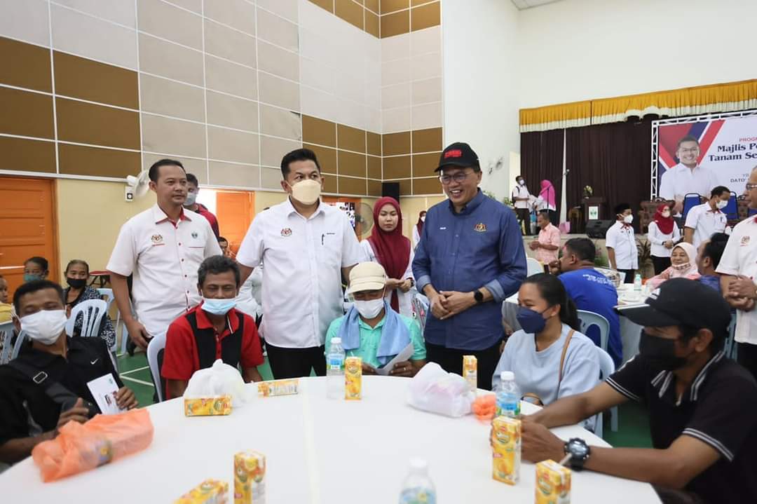kelapa sawit122